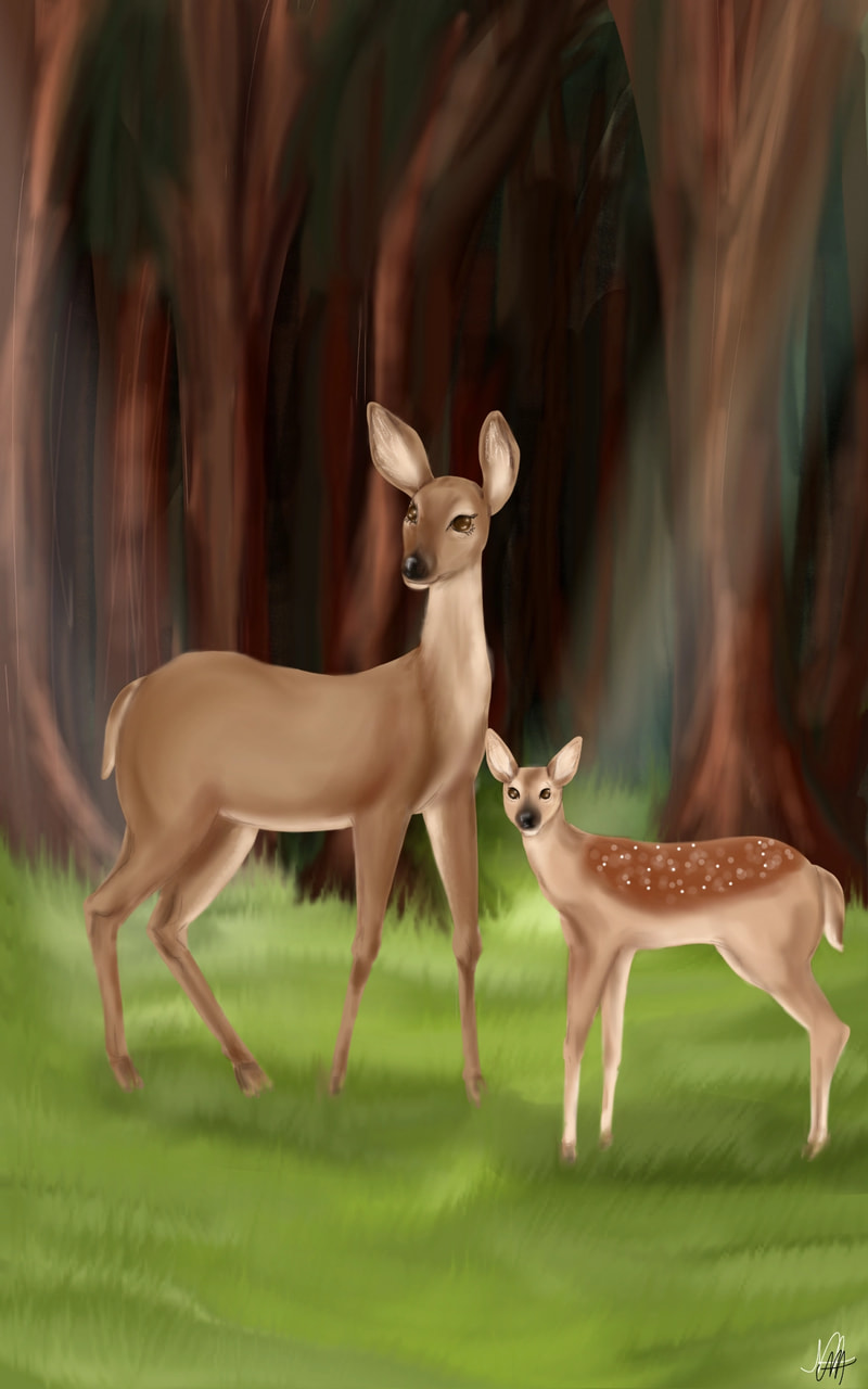 Prize for ‪@:3 Miriam‬ #marikaaria #MAanimal #animal#magift #mareal#deer#animalchallenge #fridayswithsketch #maft