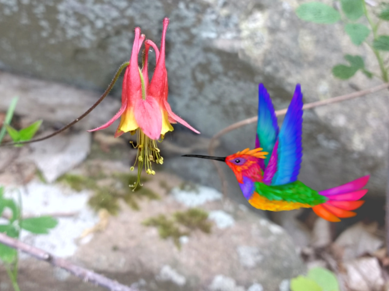 A fantastic hummingbird for a fantastic flower! 🌺 (Thanks ‪@sonysketch‬ for the feature, and to everyone else for all the likes! 😸) #fridayswithsketch #drawyourphoto #hummingbird #Flower #colorful #Bird #realistic