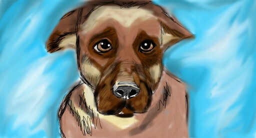 #dog #sketch