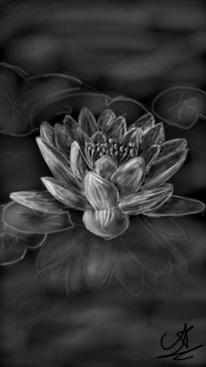 Все #fridayswithsketch #blackandwhitechallenge(Жалко удалять)