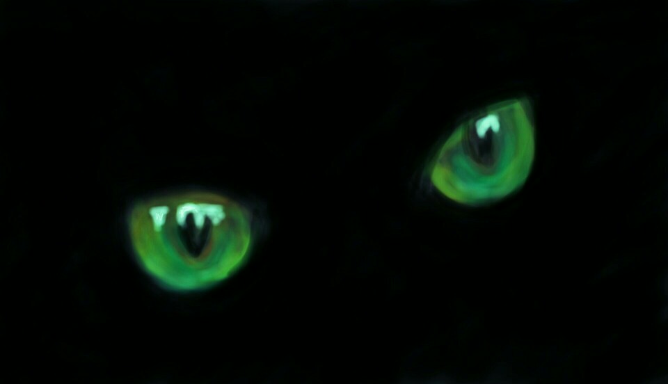 Cat's eyes!
