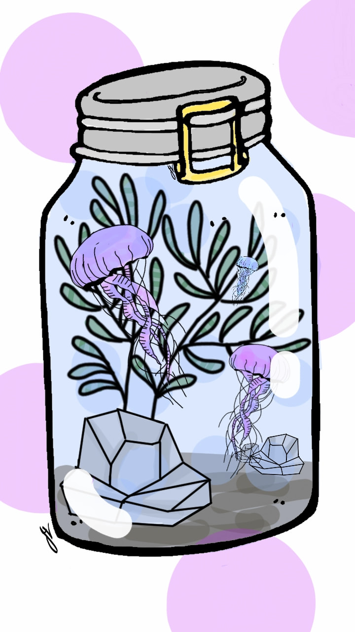 #Potion #águaviva #water #purple #Blue #pink #jellyfish